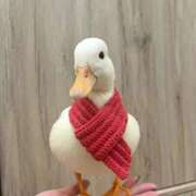 すず お久しぶりです！ 舐めフェチの会