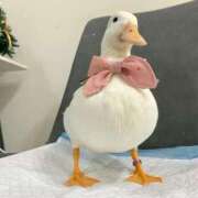 すず お久しぶりです👀！ 舐めフェチの会