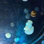 ヒメ日記 2025/09/02 22:57 投稿 みなみ THE ESUTE HOUSE 柴田