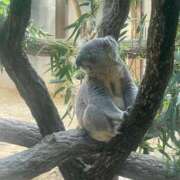 ヒメ日記 2025/09/06 08:46 投稿 みなみ THE ESUTE HOUSE 柴田