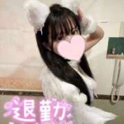 ヒメ日記 2025/11/16 13:39 投稿 うみ エデンR