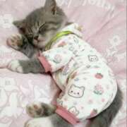 ヒメ日記 2025/10/29 09:07 投稿 岩崎ちずる おふくろ