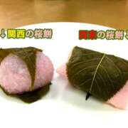 岩崎ちずる ひな祭り🎵 おふくろ