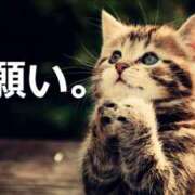 ヒメ日記 2026/03/17 07:16 投稿 岩崎ちずる おふくろ