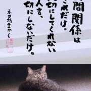 ヒメ日記 2026/07/15 08:22 投稿 岩崎ちずる おふくろ