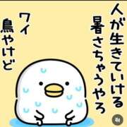 ヒメ日記 2026/07/24 07:11 投稿 岩崎ちずる おふくろ