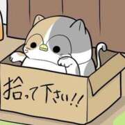 ヒメ日記 2025/08/29 08:42 投稿 いわさきちづる ぐらんまま