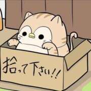 ヒメ日記 2025/09/20 09:00 投稿 いわさきちづる ぐらんまま