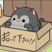 ヒメ日記 2025/09/27 10:14 投稿 いわさきちづる ぐらんまま