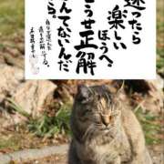 ヒメ日記 2025/10/28 08:44 投稿 いわさきちづる ぐらんまま