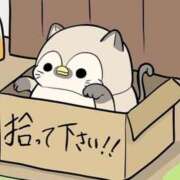 ヒメ日記 2026/02/12 06:58 投稿 いわさきちづる ぐらんまま