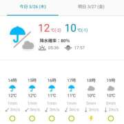 ヒメ日記 2026/03/26 09:11 投稿 いわさきちづる ぐらんまま