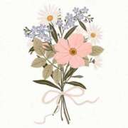 ヒメ日記 2025/12/05 09:16 投稿 野崎やよい MADAM