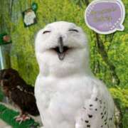 ヒメ日記 2026/03/03 11:23 投稿 すい カリビアン