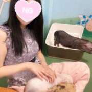 ヒメ日記 2025/09/05 19:07 投稿 あお Evolution 2nd