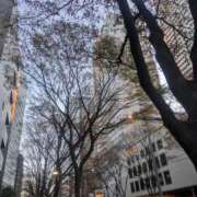 ヒメ日記 2025/12/16 15:13 投稿 みや Second Love（セカンドラブ）