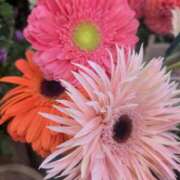 ヒメ日記 2026/01/19 08:59 投稿 みや Second Love（セカンドラブ）