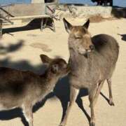 ヒメ日記 2026/01/22 01:42 投稿 あやの Beauty Street