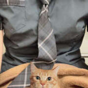 ヒメ日記 2025/10/11 16:38 投稿 りあ Beauty Street