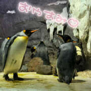 ヒメ日記 2026/03/22 11:47 投稿 ちはる Beauty Street