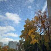 ヒメ日記 2025/11/17 11:58 投稿 りん buzz-B