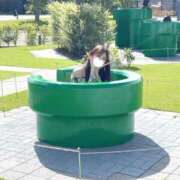 ヒメ日記 2025/10/02 10:52 投稿 夏目 のどか［L］ モンテクラブ