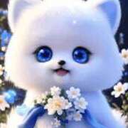 ヒメ日記 2025/09/16 23:07 投稿 さやか 兵庫姫路・加古川ちゃんこ