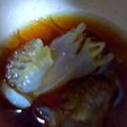 ヒメ日記 2025/09/23 14:21 投稿 さやか 兵庫姫路・加古川ちゃんこ