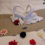 ヒメ日記 2025/12/20 05:01 投稿 さやか 兵庫姫路・加古川ちゃんこ