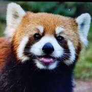 ヒメ日記 2026/02/04 10:17 投稿 さやか 兵庫姫路・加古川ちゃんこ