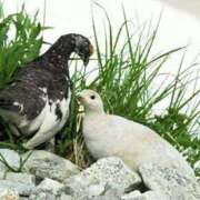 はのん こんばんは〜🌌🌙⭐ 甲府人妻隊