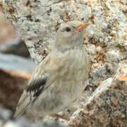 はのん 昨日のお礼💌 甲府人妻隊