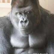 ヒメ日記 2025/12/09 11:36 投稿 にこ 京都の痴女鉄道