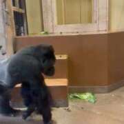 ヒメ日記 2026/03/20 14:06 投稿 にこ 京都の痴女鉄道