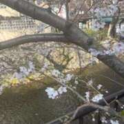 ヒメ日記 2026/03/30 15:46 投稿 にこ 京都の痴女鉄道