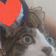 ヒメ日記 2025/10/04 15:15 投稿 今田ゆりあ こあくまな熟女たち 大塚店(KOAKUMAグループ)