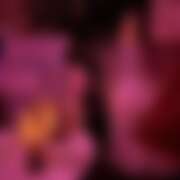 ヒメ日記 2026/03/10 01:29 投稿 まり Beauty Street