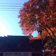 ヒメ日記 2025/11/23 11:48 投稿 しおり 東京妻