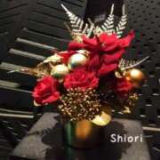 ヒメ日記 2025/11/26 10:18 投稿 しおり 東京妻