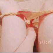 しおり ごめんなさい 東京妻