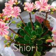 ヒメ日記 2026/01/20 18:38 投稿 しおり 東京妻