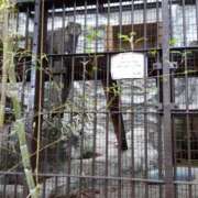 ヒメ日記 2026/01/24 09:58 投稿 しおり 東京妻