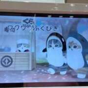 ヒメ日記 2026/02/10 14:55 投稿 しおり 東京妻