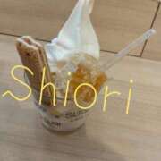 ヒメ日記 2026/02/11 11:48 投稿 しおり 東京妻