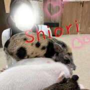 ヒメ日記 2026/02/12 19:08 投稿 しおり 東京妻