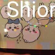 ヒメ日記 2026/02/18 10:08 投稿 しおり 東京妻