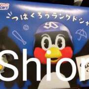 しおり かわいいもの好き 東京妻