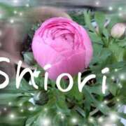 ヒメ日記 2026/04/01 10:18 投稿 しおり 東京妻