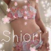 しおり 【お礼写メ日記】 東京妻