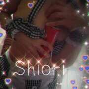 しおり いただき物の 東京妻